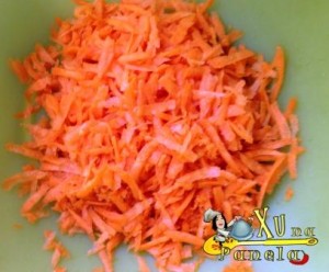 cenoura ralada